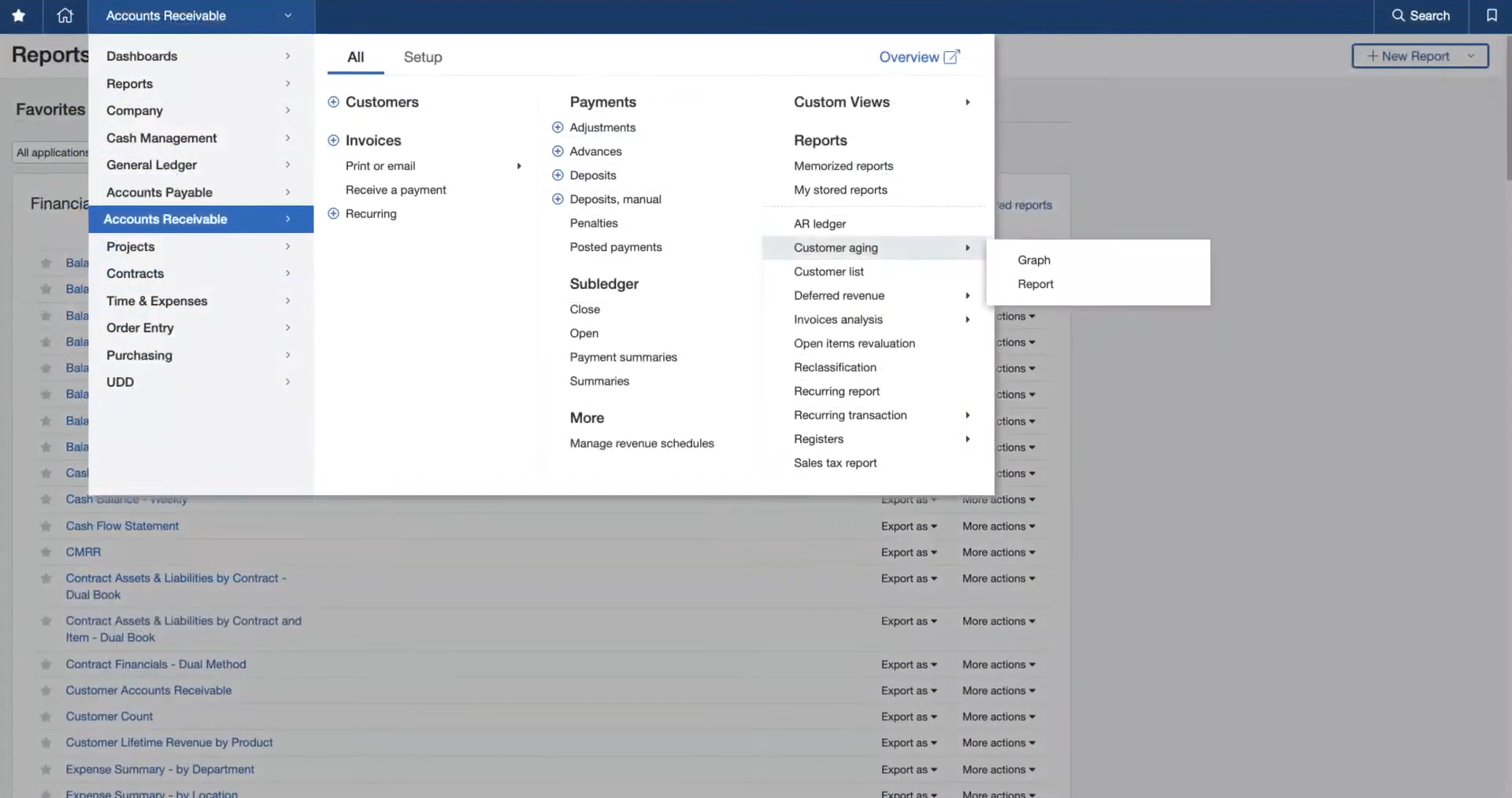 A screenshot of a user interface for a business management software, displaying various reports and analytics options in a menu.