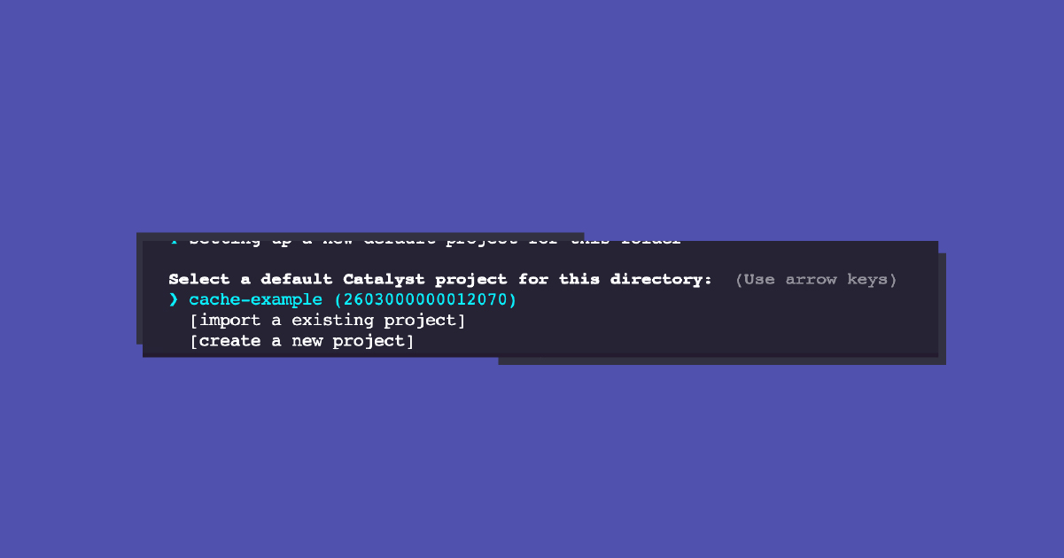 Screenshot of a computer terminal with a prompt for selecting a default catalyst project for a directory, showing options to create or import a project.
