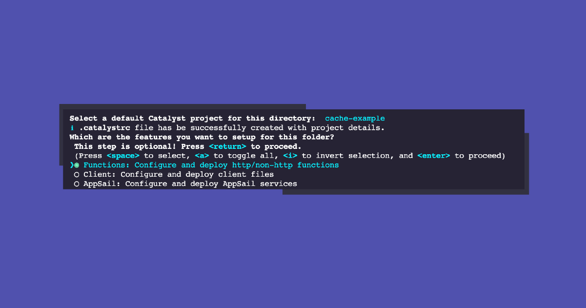 Screenshot of a computer screen showing a terminal interface with options for a catalyst project setup, highlighted on option 