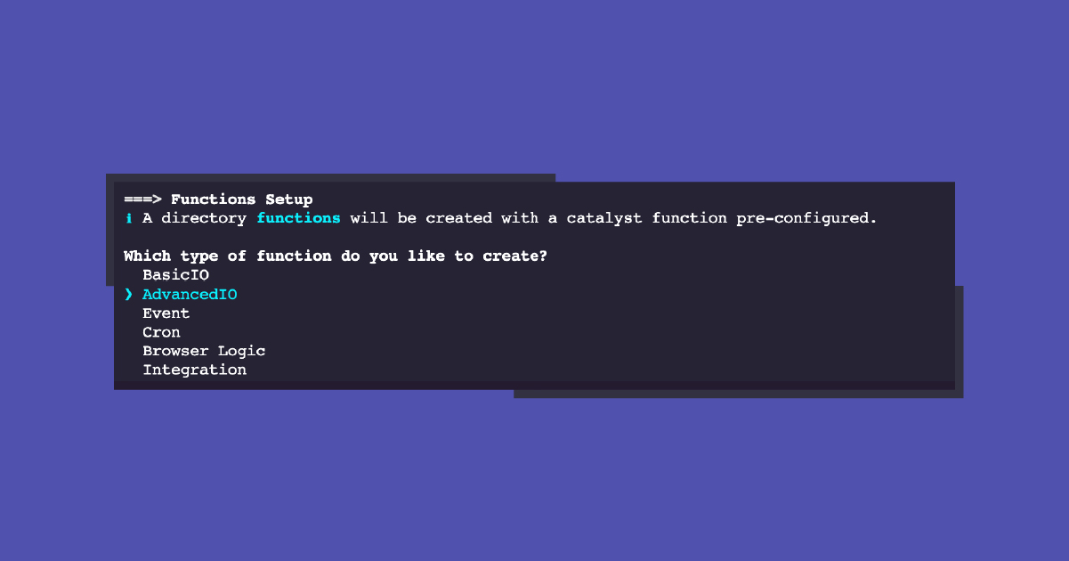 A computer terminal screen displaying options for setting up functions in a directory, with types listed as 