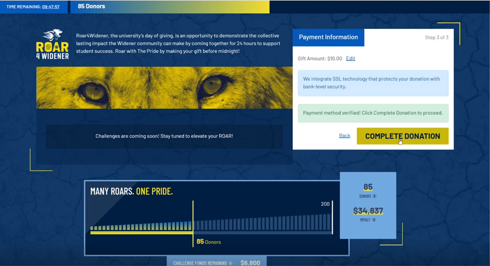 Real-time updating leaderboards, progress bars, and donor feeds.